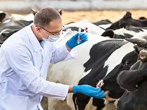 MEDICINA VETERINÁRIA